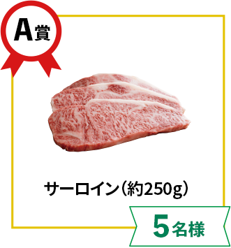 A賞:サーロイン(約250g)【5名様】